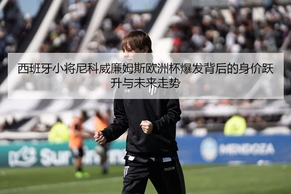 西班牙小将尼科威廉姆斯欧洲杯爆发背后的身价跃升与未来走势
